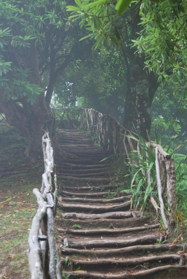 桑塔纳Casa Do Til住宿加早餐旅馆 外观 照片