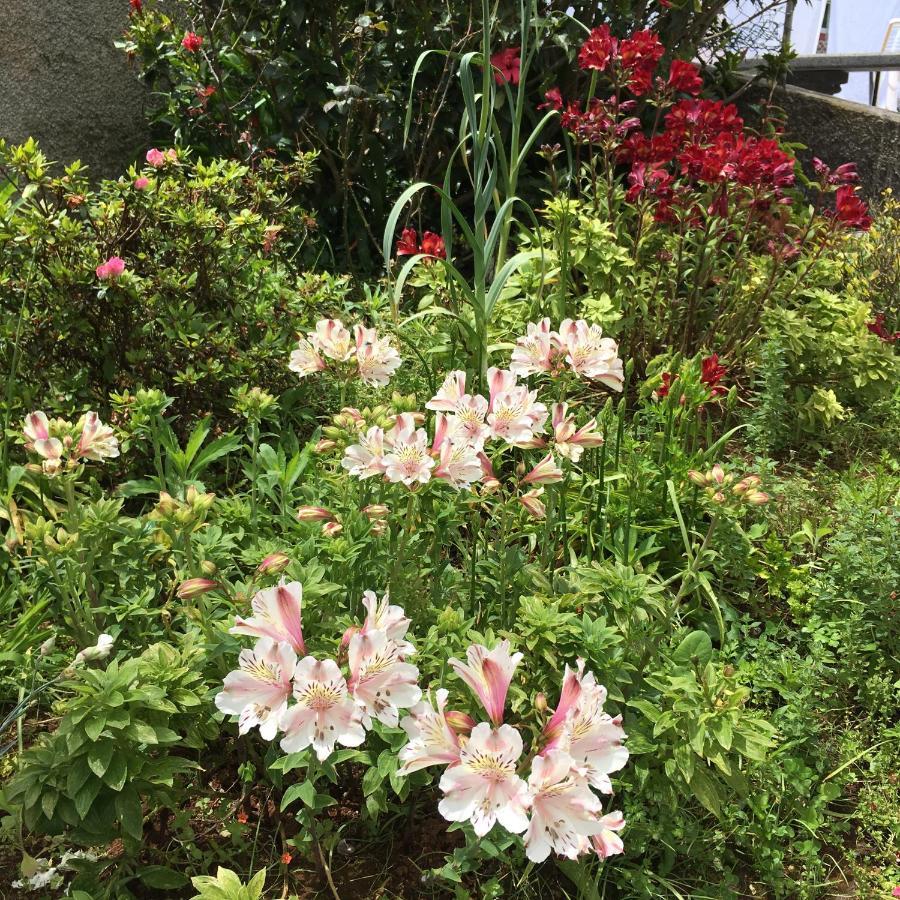 桑塔纳Casa Do Til住宿加早餐旅馆 外观 照片